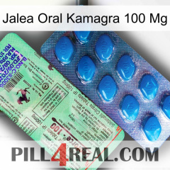 Oral Jelly Kamagra 100 Mg new02